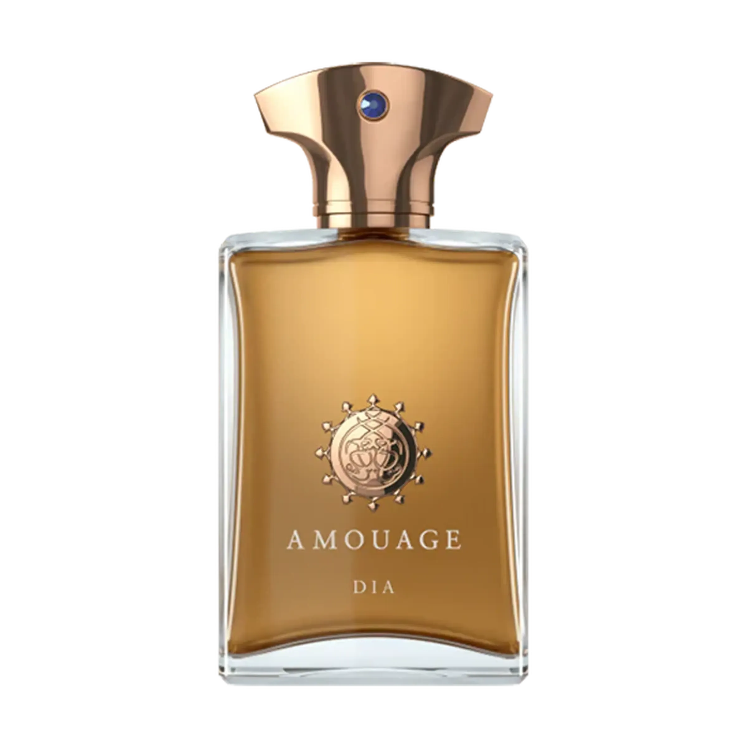 Amouage Dia For Men Eau De Parfum
